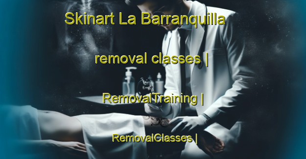 Skinart La Barranquilla removal classes | RemovalTraining | RemovalClasses | SkinartTraining-Honduras